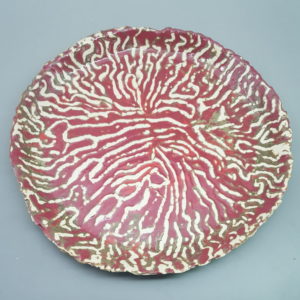 Coral Plate Red 2